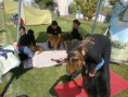 /album/smaragd-agility-kupa/p9220179-2-jpg/